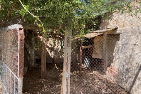 Landejendom i Vinaros, Castellon, Vinaros - € 77.000 | Ref: Finca Tranquila - foto 43